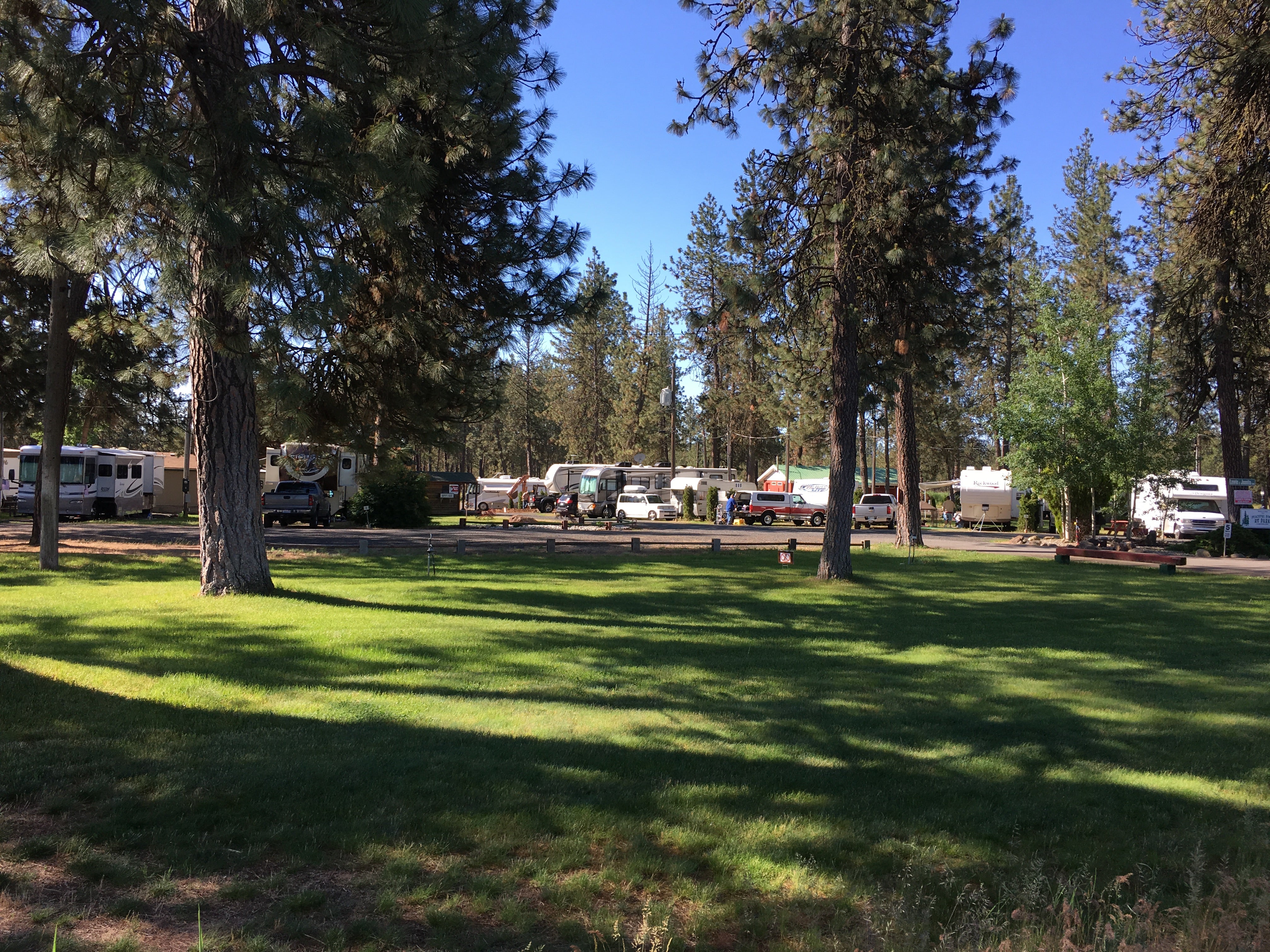 Camper submitted image from Peaceful Pines  RV Park & Campground - 2
