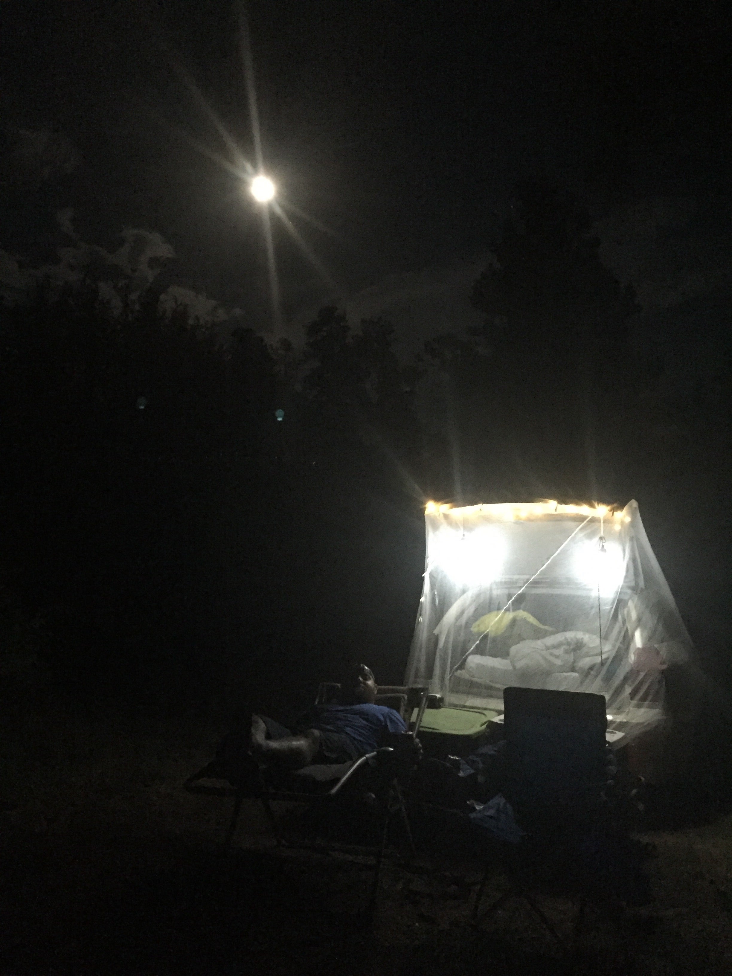 Camper submitted image from Lake Mary Recreation Corridor - 2