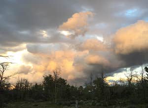 Forest Service Road 700 Designated Dispersed Camping