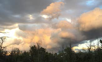 Bryan B.'s photo of a dispersed camping area at Forest Service Road 700 Designated Dispersed Camping near Laramie, WY