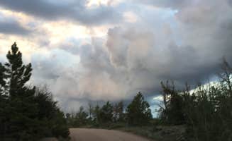 Bryan B.'s photo of a dispersed camping area at Forest Service Road 700 Designated Dispersed Camping near Cheyenne, WY