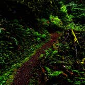 Review photo of Alder Flat by Eva W., September 1, 2015