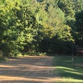 Review photo of Village Creek State Park Campground by Shelly S., September 4, 2016