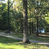 Review photo of Village Creek State Park Campground by Shelly S., September 4, 2016