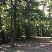 Review photo of Village Creek State Park Campground by Shelly S., September 4, 2016