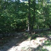 Review photo of Village Creek State Park Campground by Shelly S., September 4, 2016