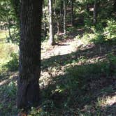 Review photo of Village Creek State Park Campground by Shelly S., September 4, 2016