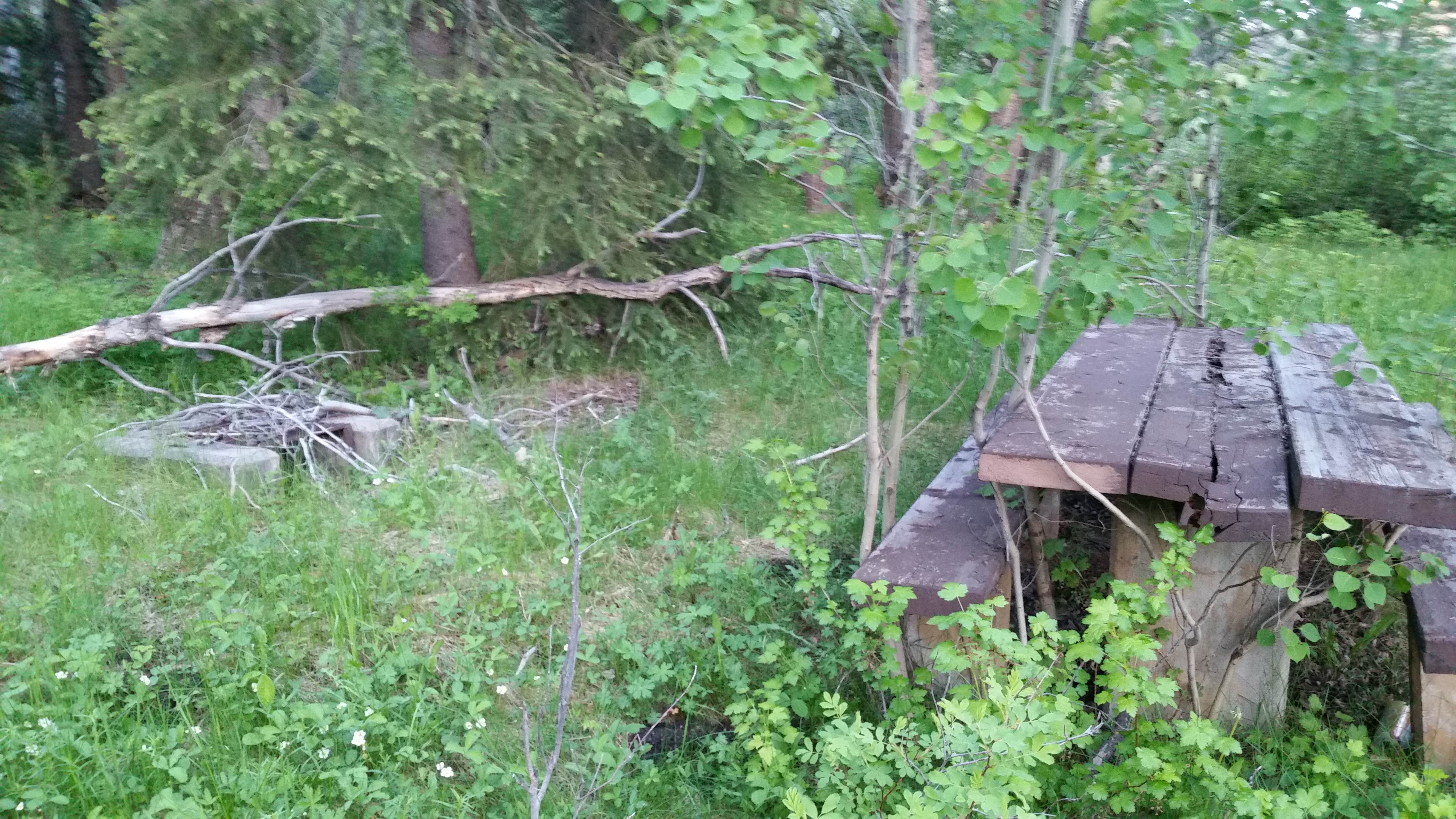 Camper submitted image from Basin Canyon - 4