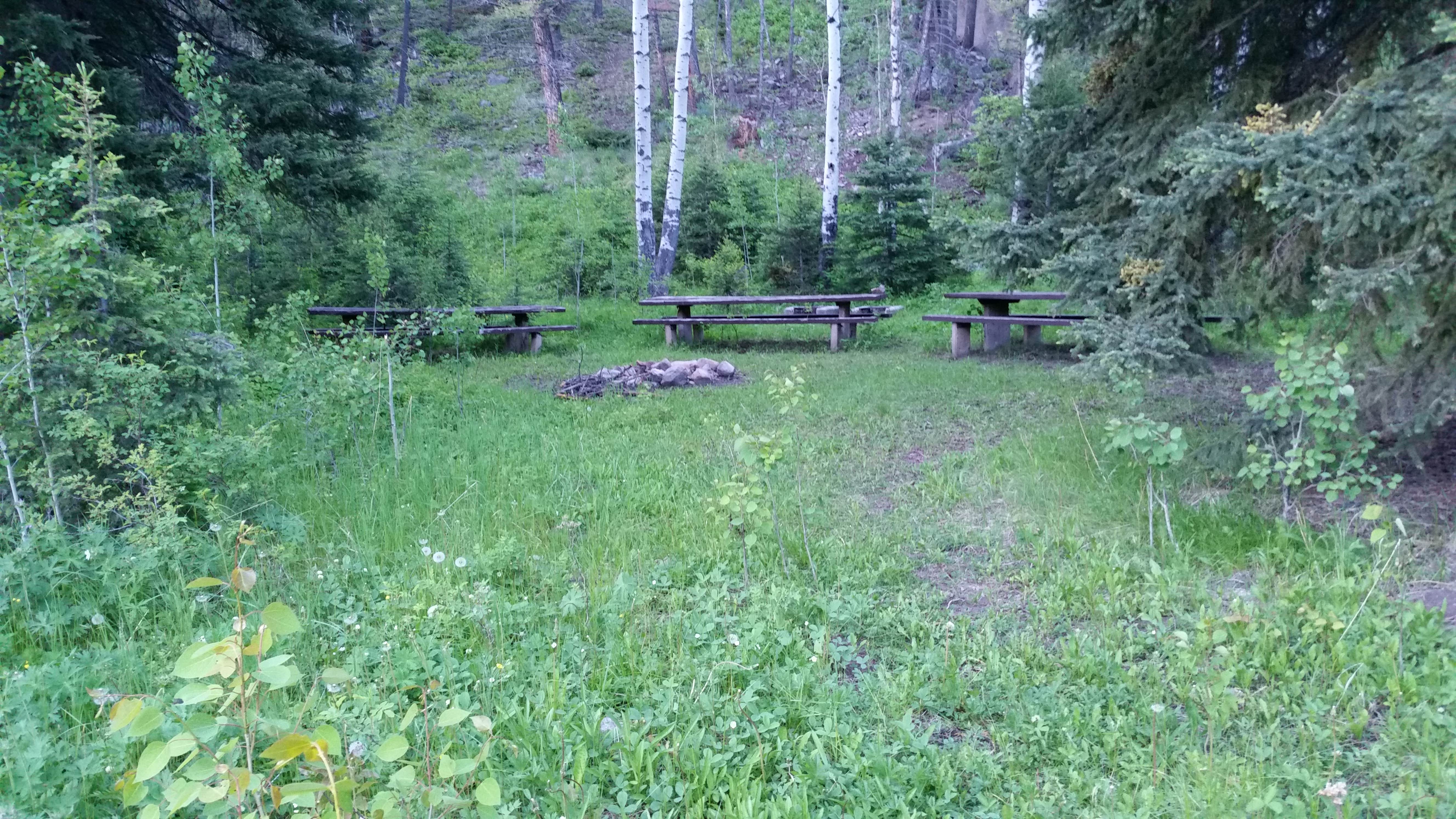 Dexter I.'s photo at Basin Canyon near Deer Lodge, MT