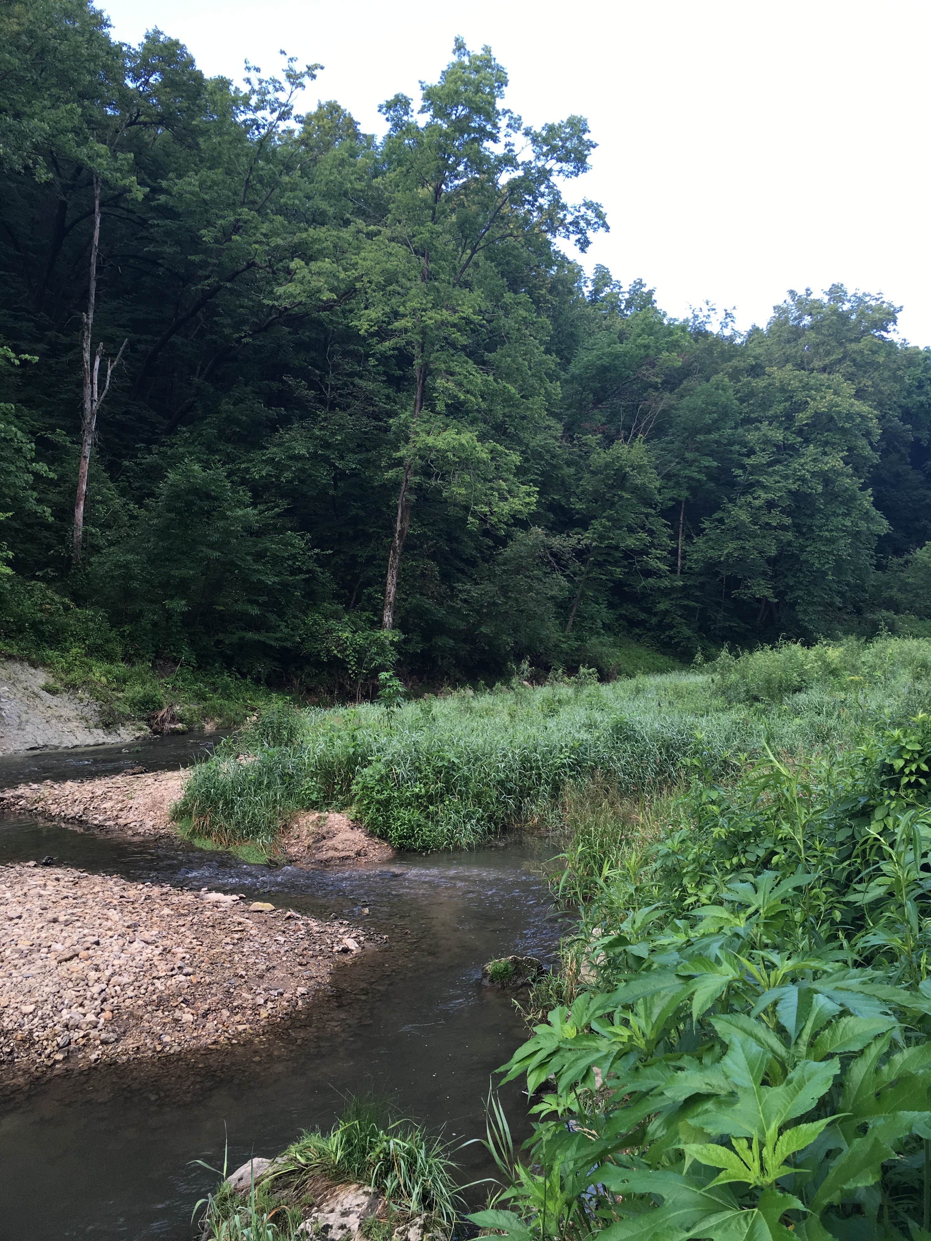 Camper-submitted photo at Twin Bridges County Park near Colesburg, IA