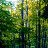 Review photo of Beaver Sulphur by Eva W., September 1, 2015