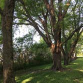 Review photo of Roadman Roadside Park by Annie C., June 27, 2019