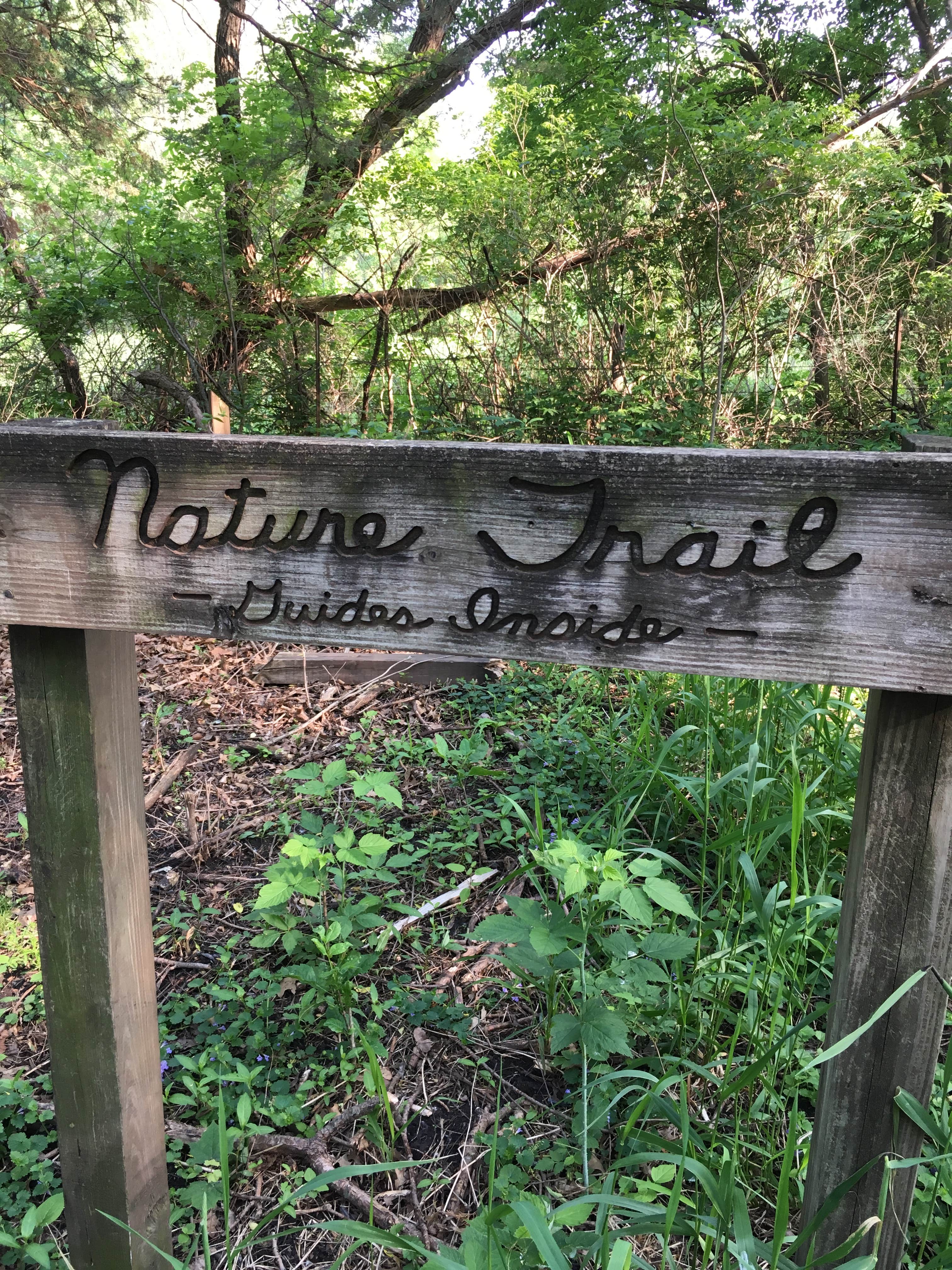 Camper-submitted photo at Roadman Roadside Park near Gladbrook, IA