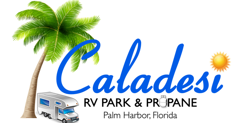 Camper submitted image from Caladesi RV Park