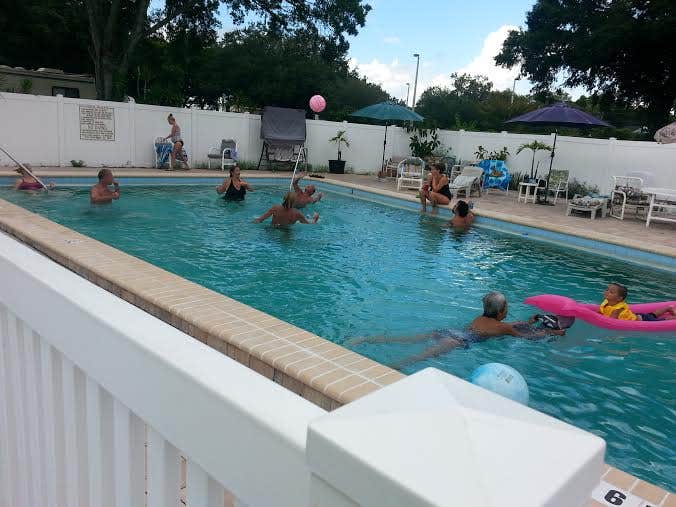 Camper submitted image from Caladesi RV Park - 3