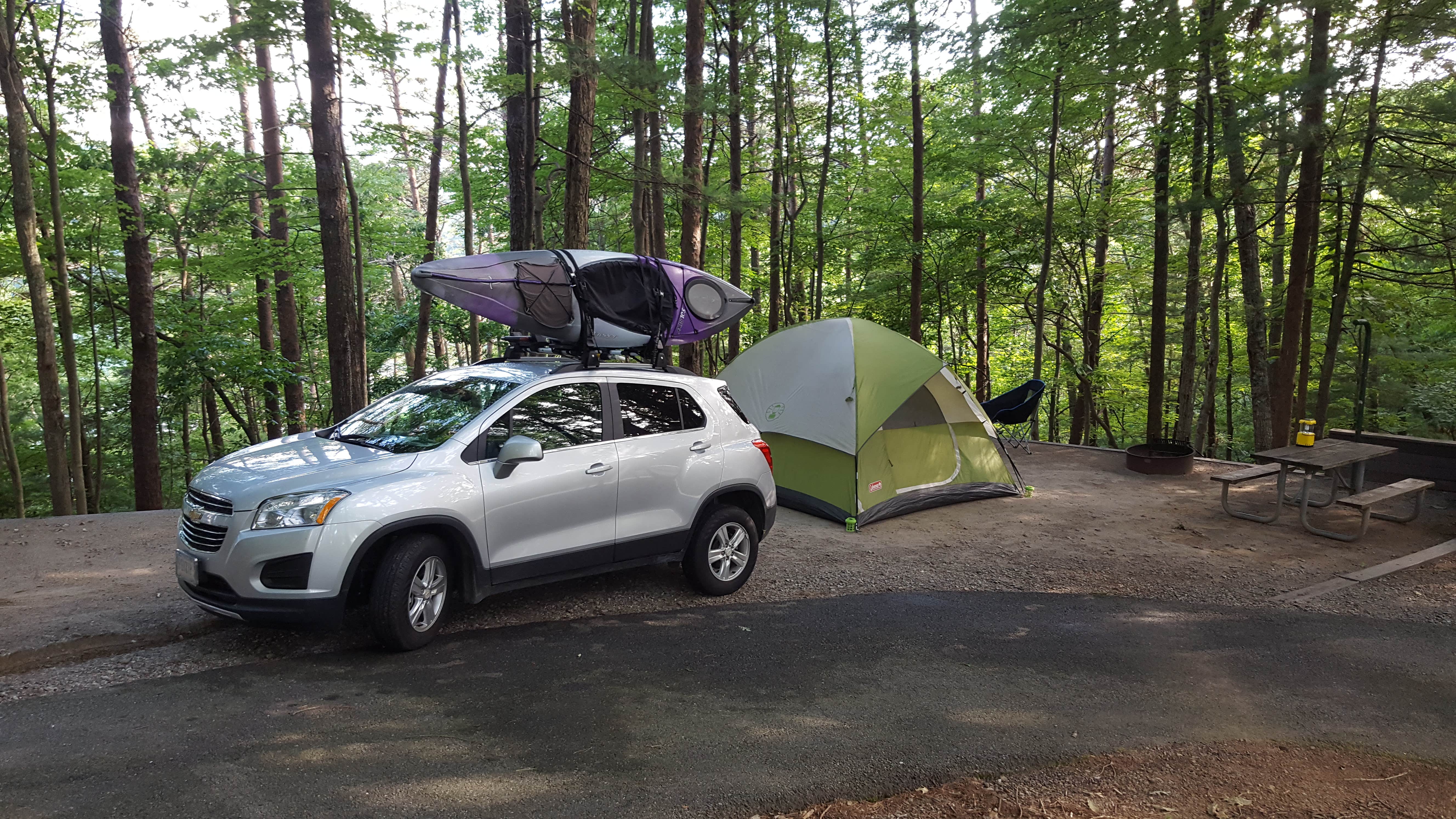 Camper submitted image from Salthouse Branch Campground - 5