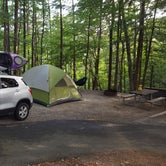 Review photo of Salthouse Branch Campground by Yakgal H., September 4, 2016