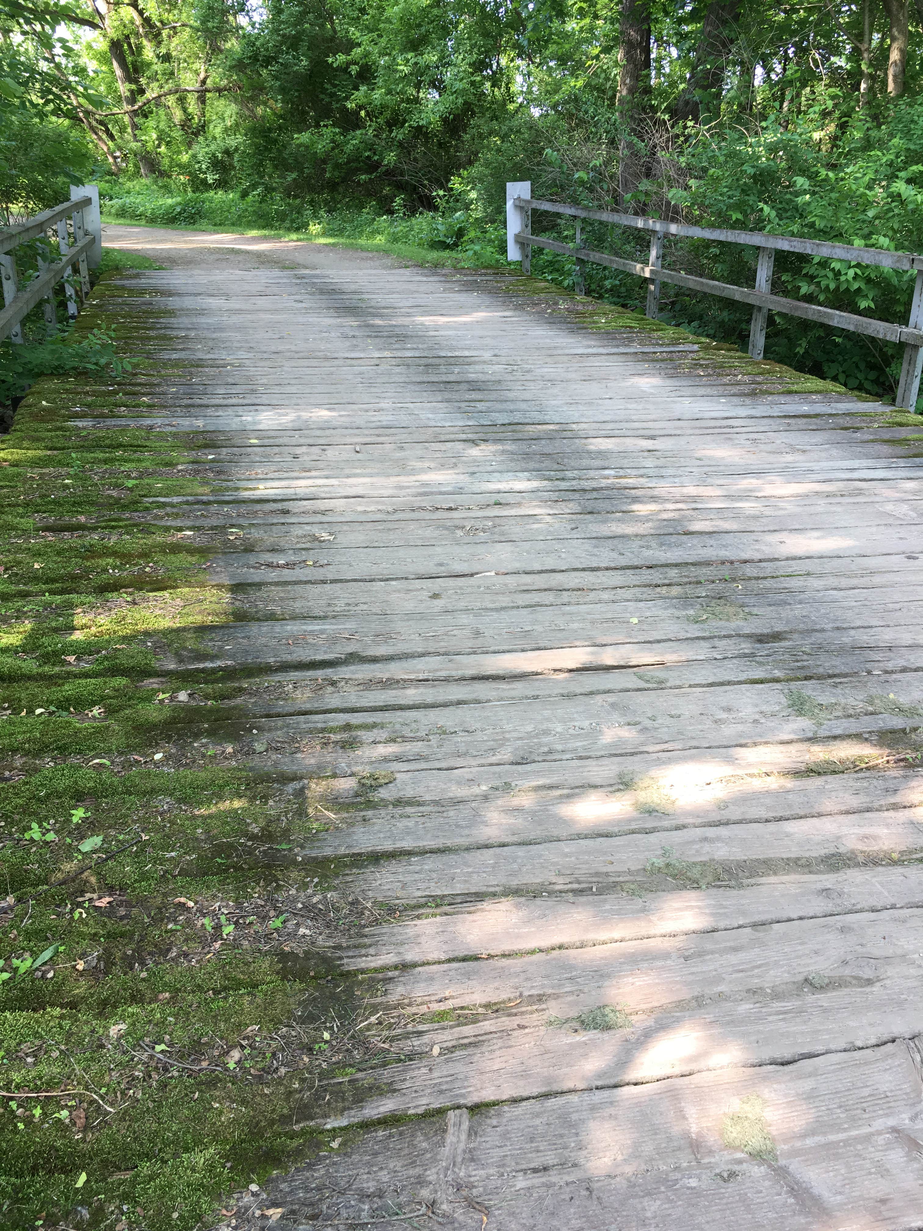 Camper-submitted photo at Pine Ridge Park near Eldora, IA