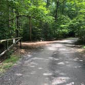 Review photo of John C. Campbell Folk School Campground by Erin S., June 27, 2019