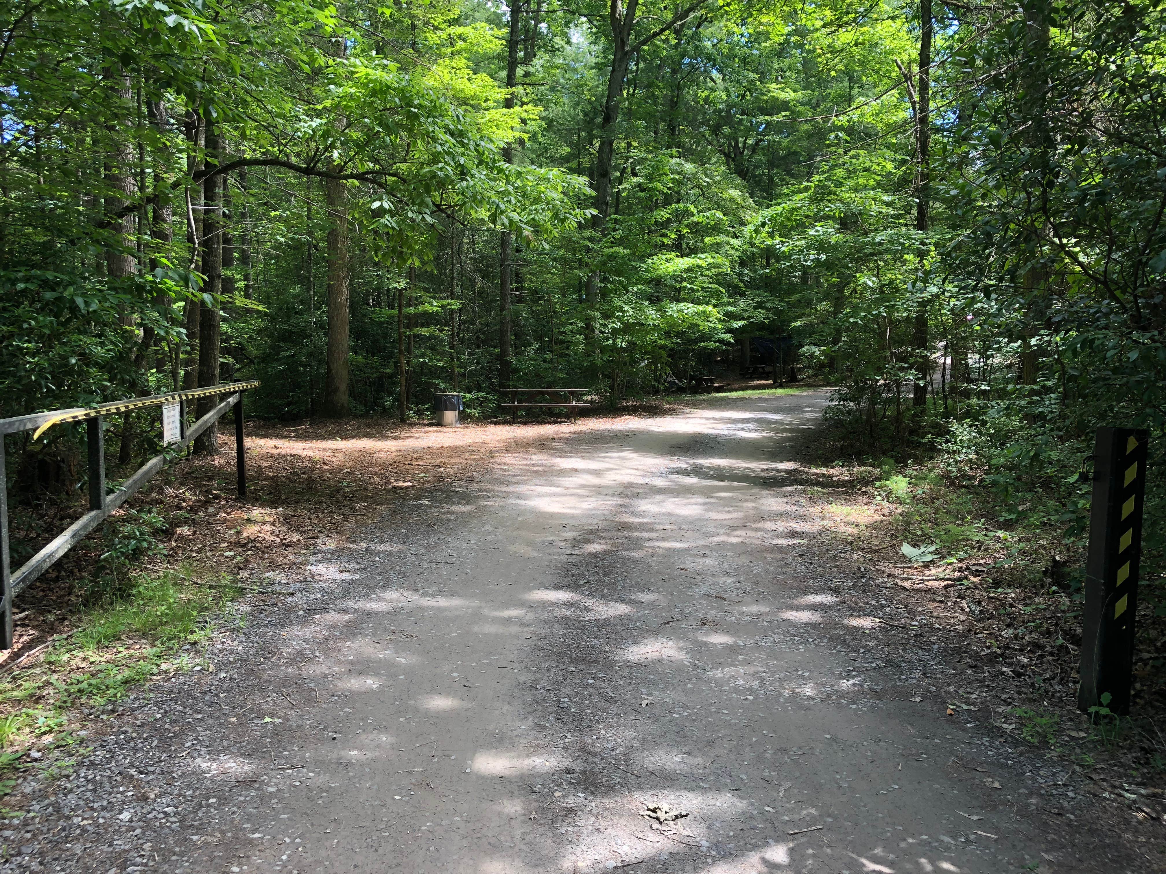 Camper submitted image from John C. Campbell Folk School Campground - 2