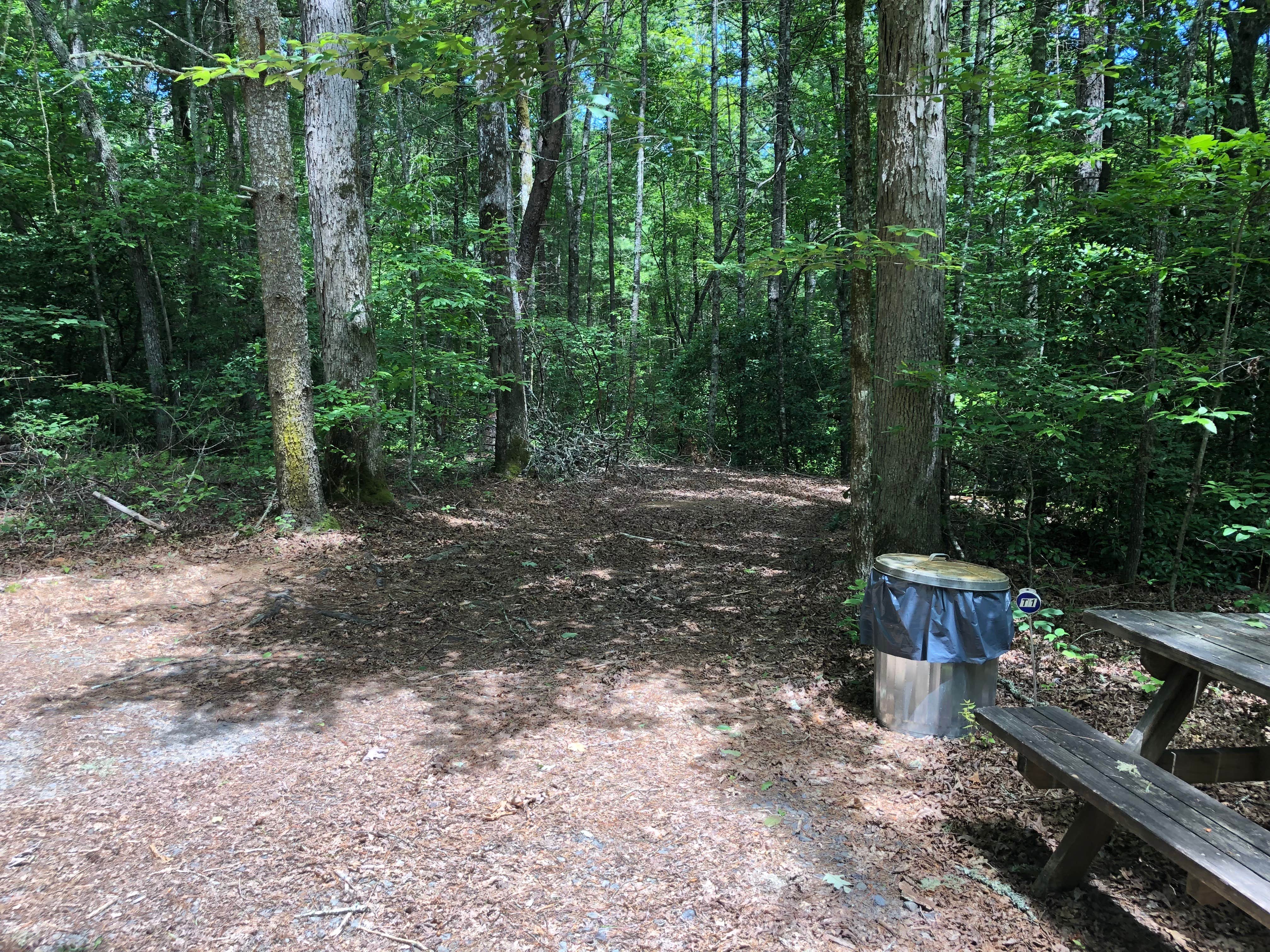 Camper submitted image from John C. Campbell Folk School Campground - 4
