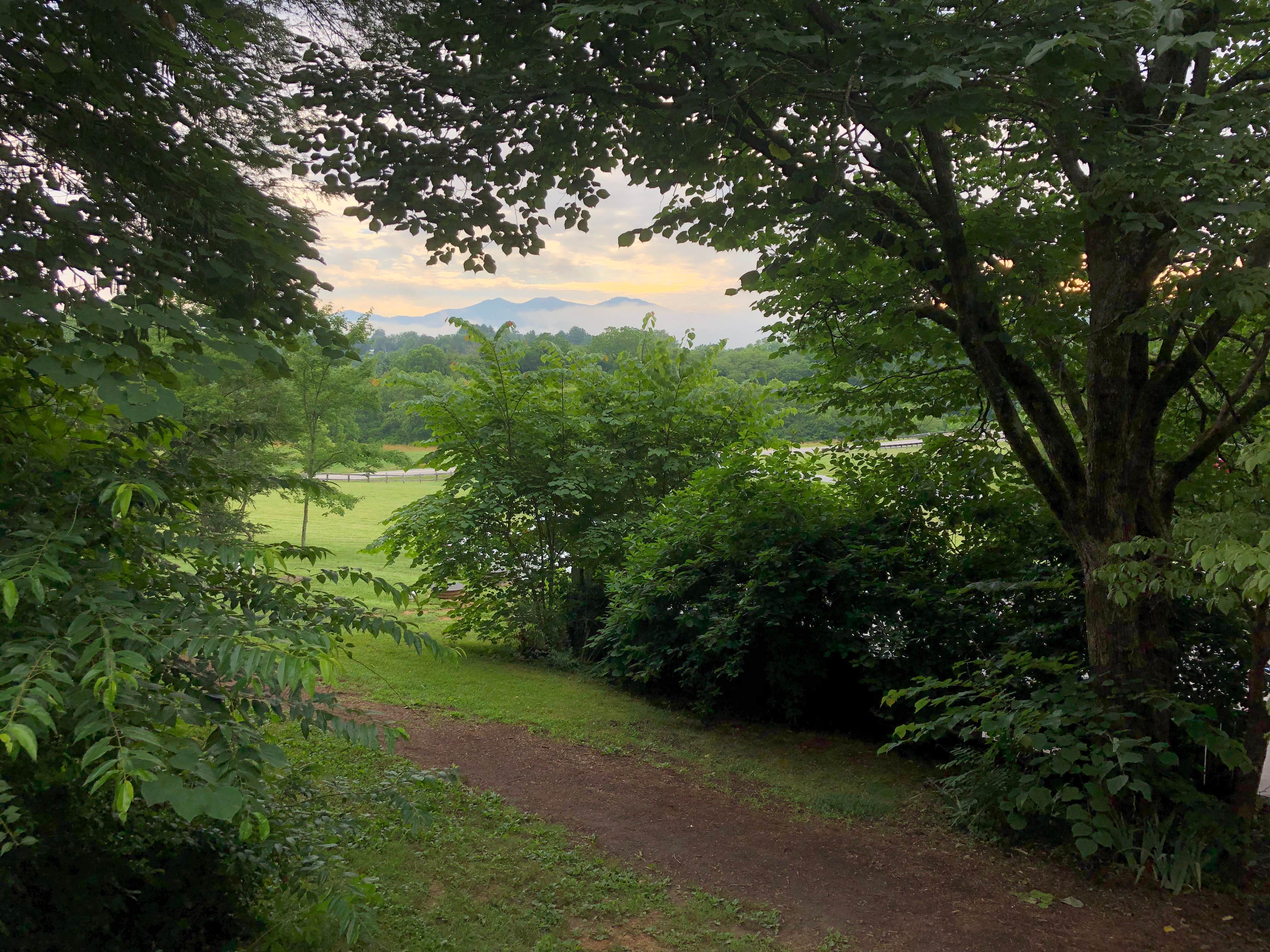View All