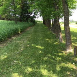 The mown trail connecting the two halves of he park