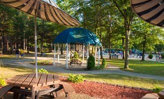 Camping near Beach Campground — Holland State Park: Grand Haven RV Resort & Campground, West Olive, Michigan