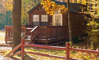 Drew P.'s photo of a cabin at Outdoor Adventures Saginaw Bay Resort near Tawas City, MI