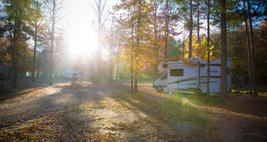 Outdoor Adventures Saginaw Bay Resort