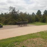 Review photo of Chatfield State Park Campground by Daniel  B., June 27, 2019