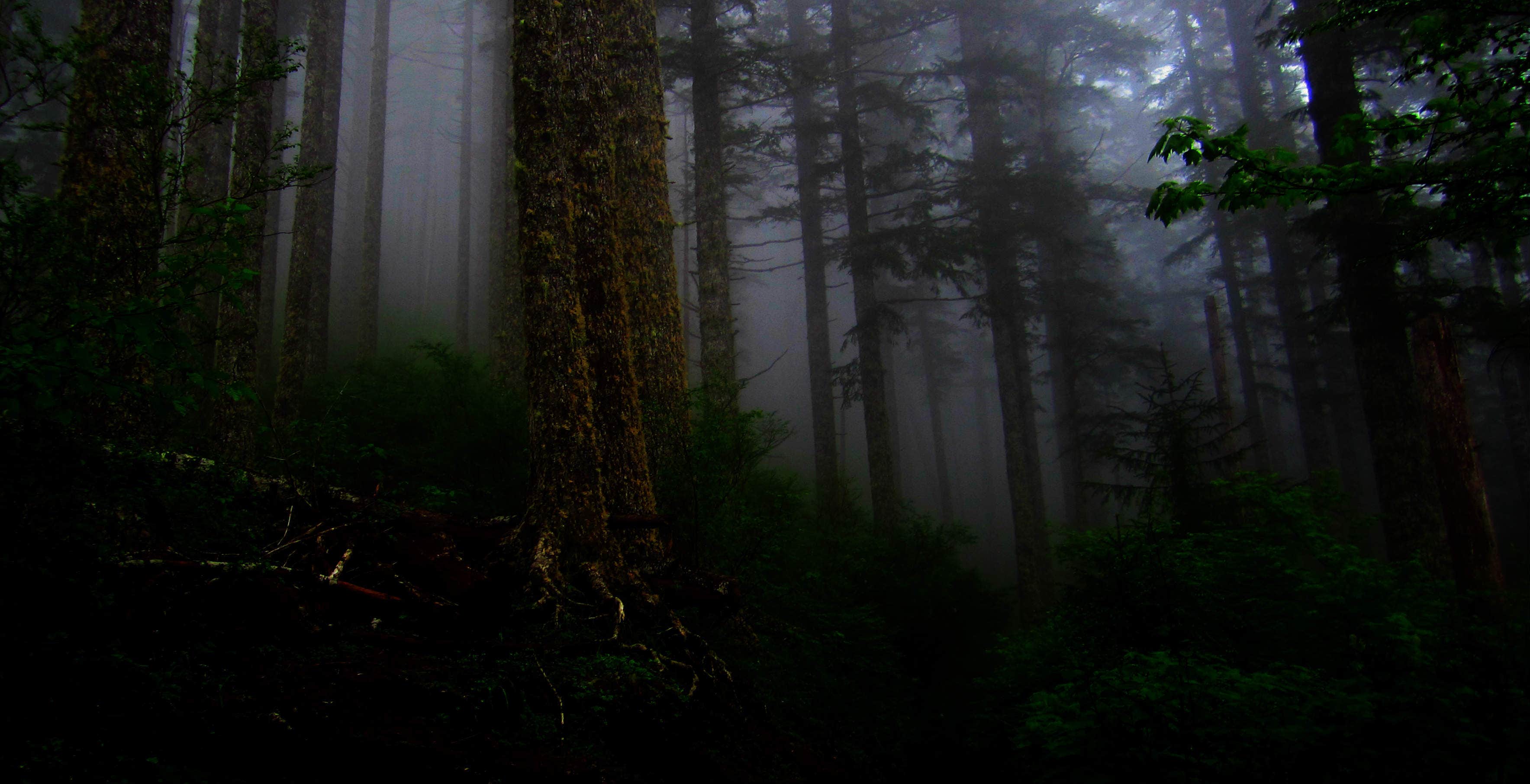 Alder Flat Camping Estacada, OR