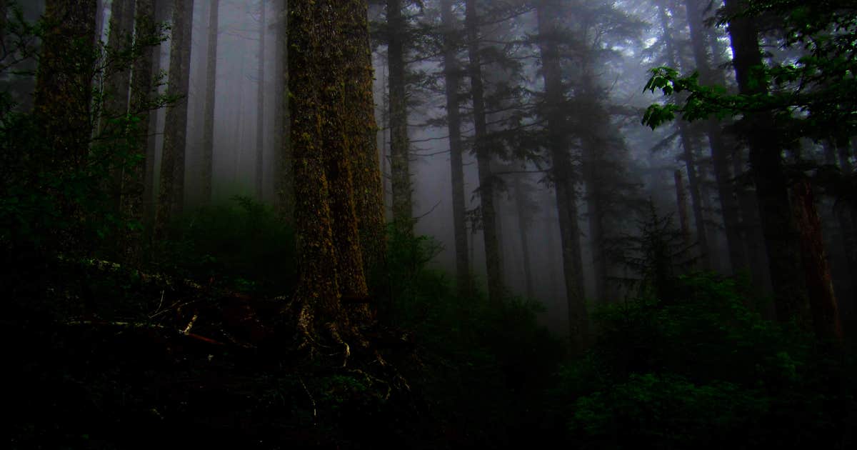 Alder Flat Camping Estacada, OR