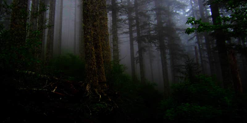 Camper submitted image from Alder Flat