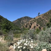 Review photo of Nira Campground by Bryce K., June 27, 2019