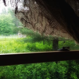 The chicken coop through the window of the cabin