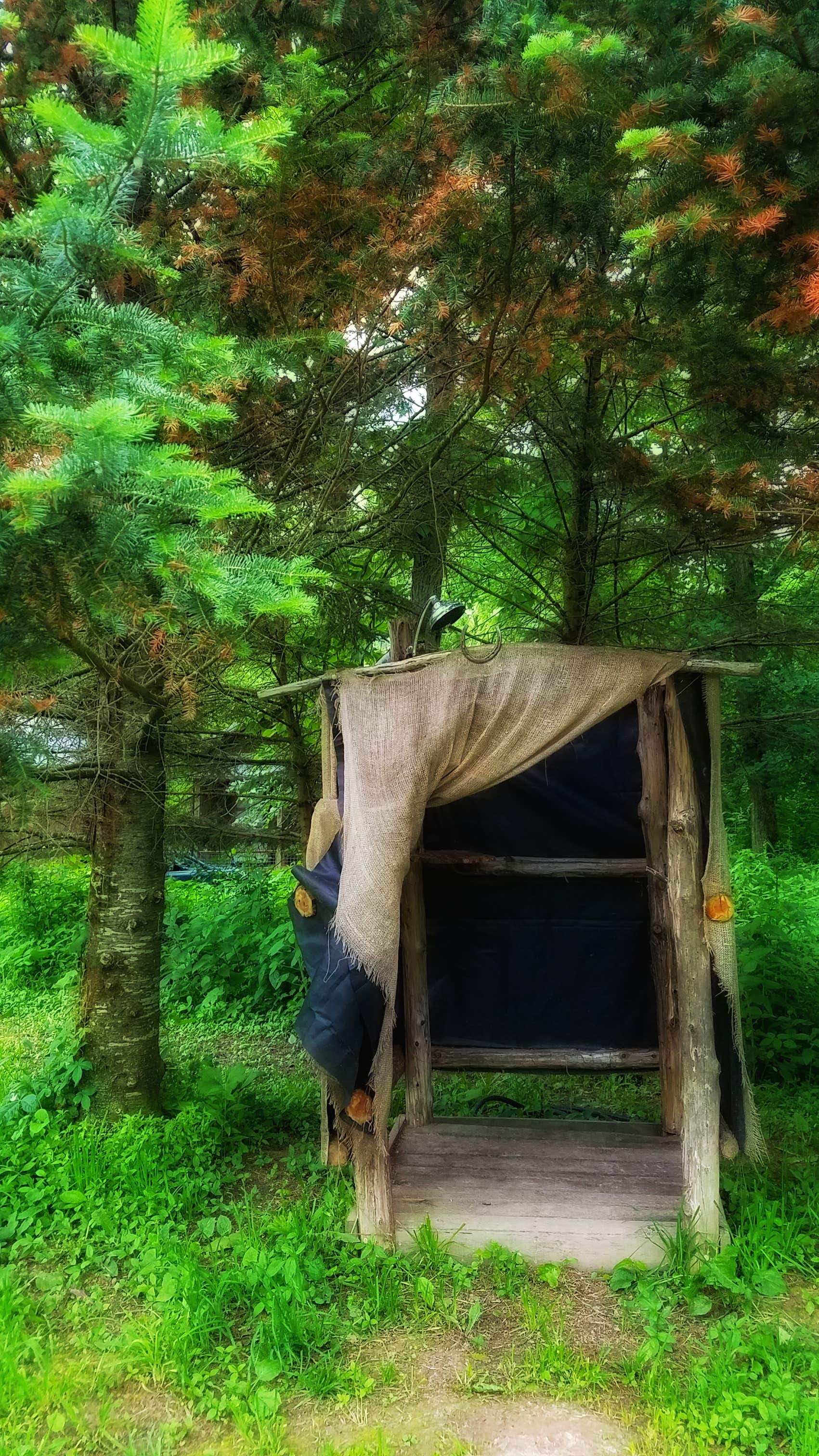 Amy G.'s photo of tent camping at Shady Rest Acres near Calmar, IA