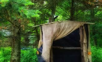 Amy G.'s photo of tent camping at Shady Rest Acres near Genoa, WI