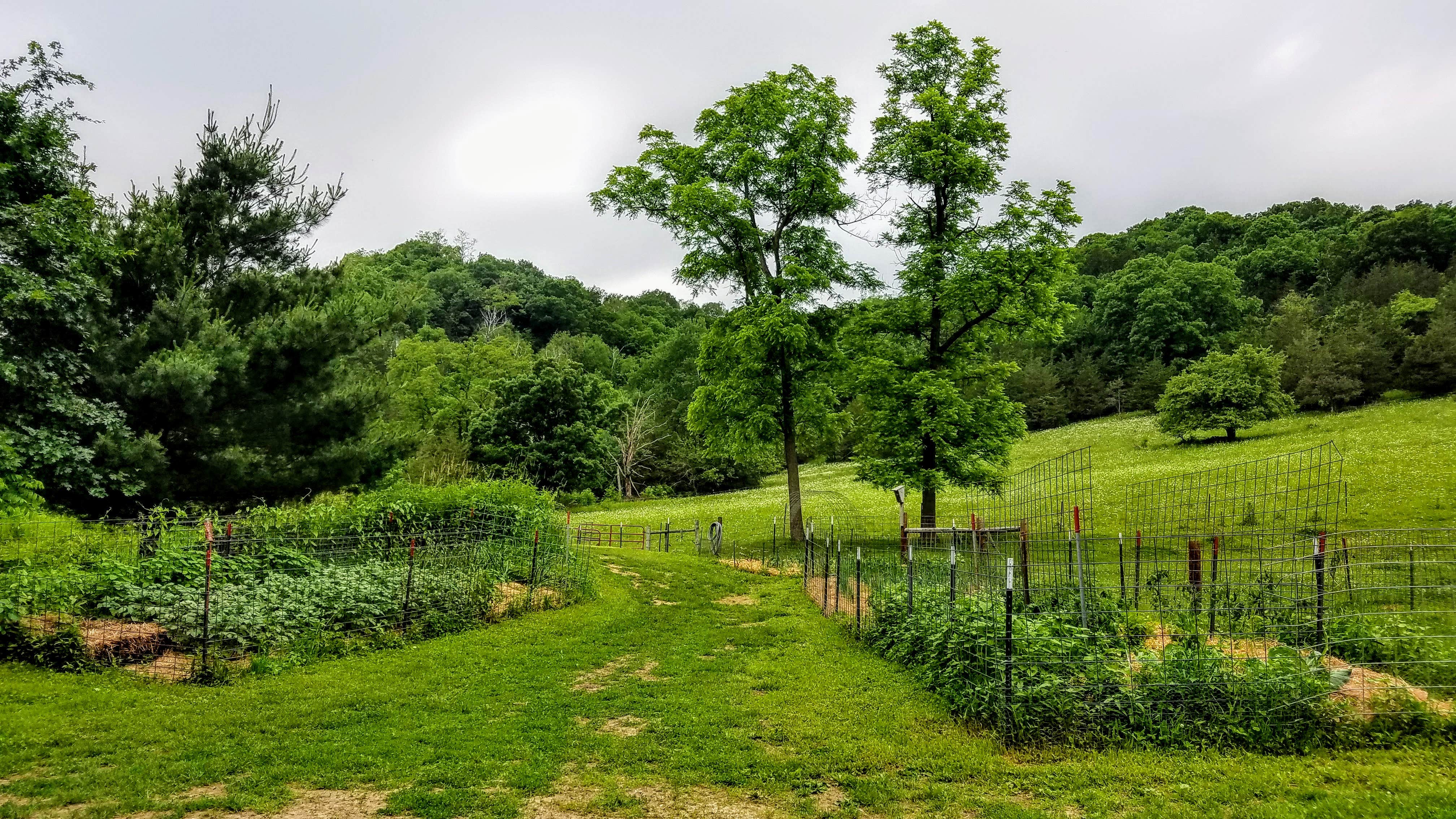 Camper-submitted photo at Shady Rest Acres near La Crosse, WI