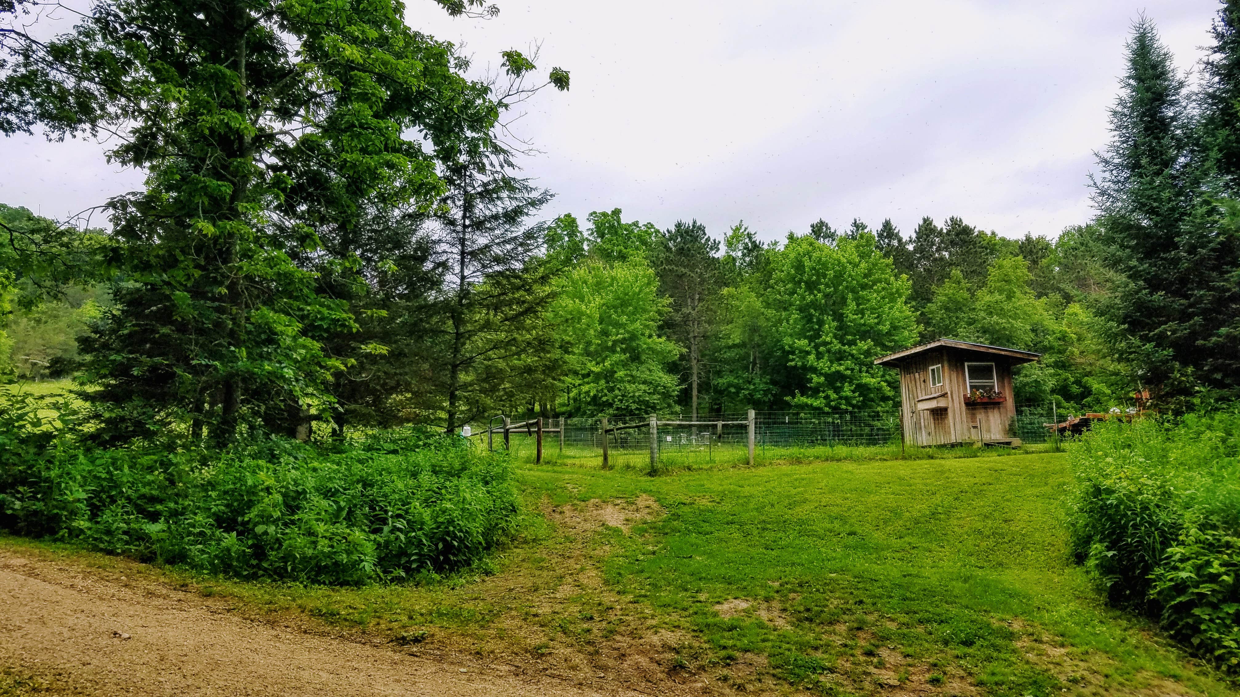 Amy G.'s photo of a cabin at Shady Rest Acres near Holmen, WI
