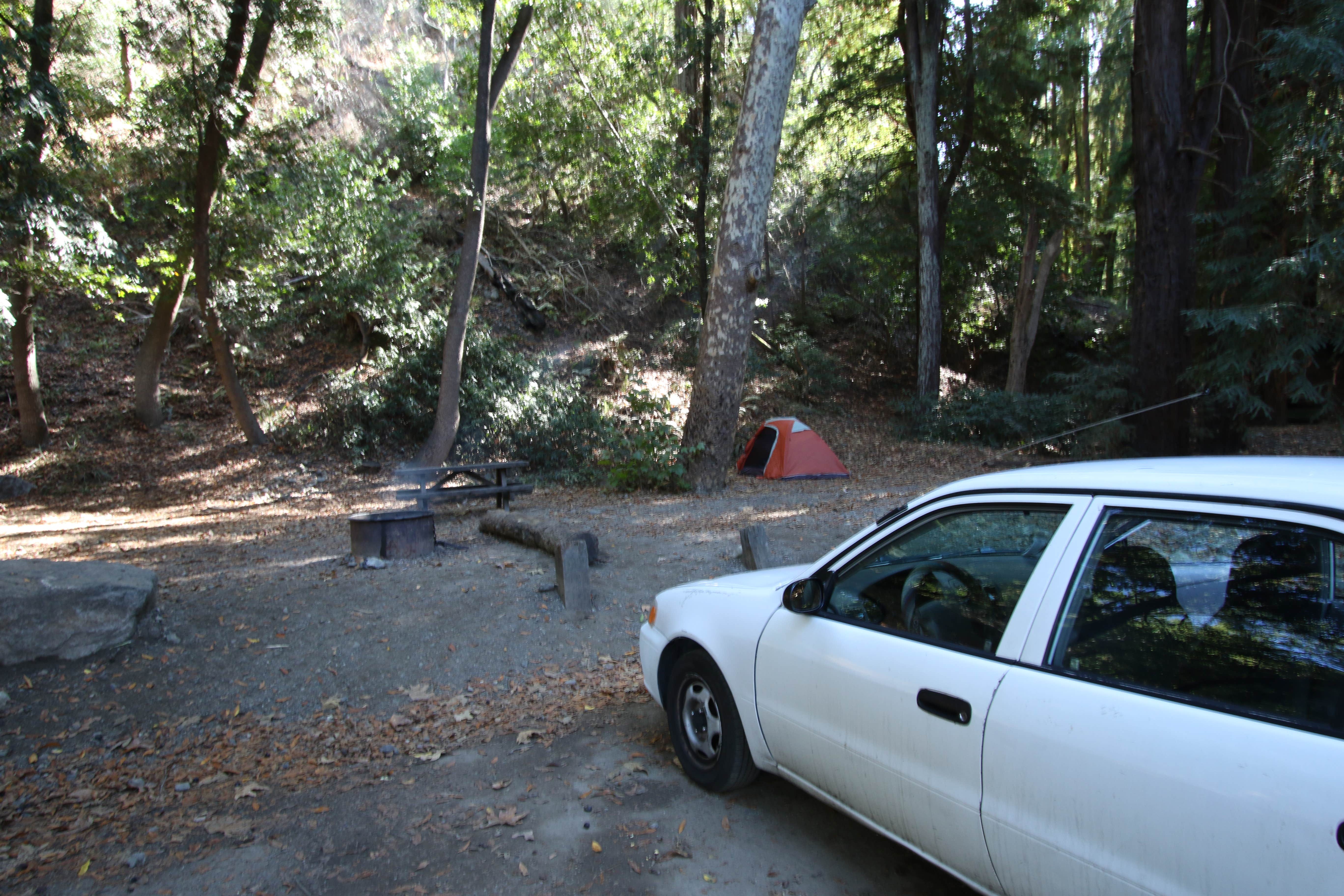 Hayley K.'s photo at Julia Pfeiffer Burns Environmental Camping — Julia Pfeiffer Burns State Park near Lucia, CA