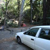 Review photo of Julia Pfeiffer Burns Environmental Camping — Julia Pfeiffer Burns State Park by Hayley K., June 27, 2019