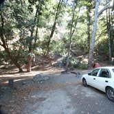 Review photo of Julia Pfeiffer Burns Environmental Camping — Julia Pfeiffer Burns State Park by Hayley K., June 27, 2019