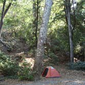 Review photo of Julia Pfeiffer Burns Environmental Camping — Julia Pfeiffer Burns State Park by Hayley K., June 27, 2019