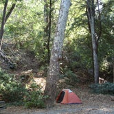 Review photo of Julia Pfeiffer Burns Environmental Camping — Julia Pfeiffer Burns State Park by Hayley K., June 27, 2019