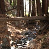 Review photo of Julia Pfeiffer Burns Environmental Camping — Julia Pfeiffer Burns State Park by Hayley K., June 27, 2019