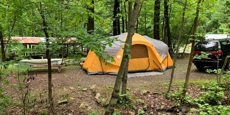 Camper submitted image from Camp A While