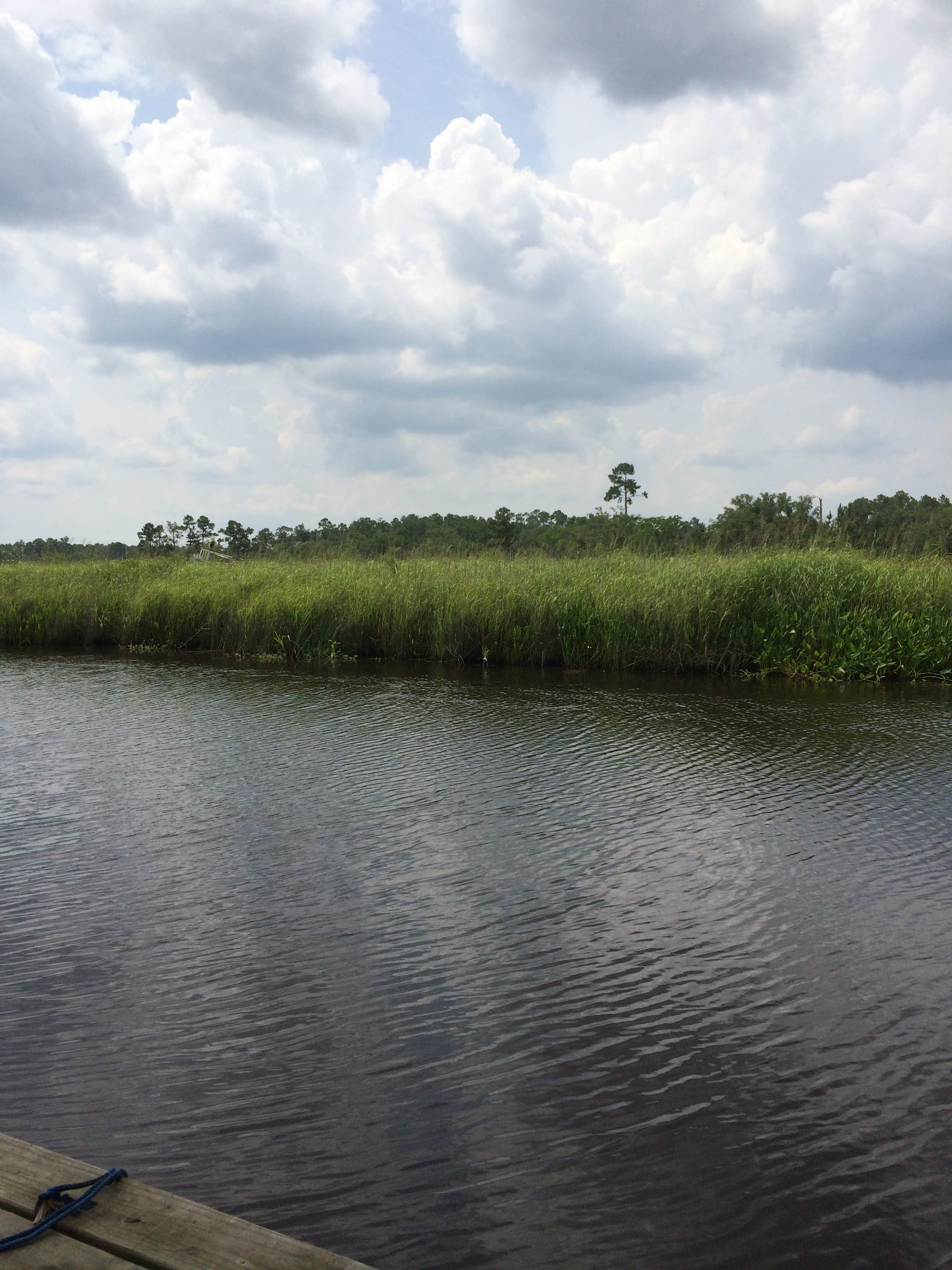 Camper-submitted photo at White’s Bayou RV Park near Pearl River, LA