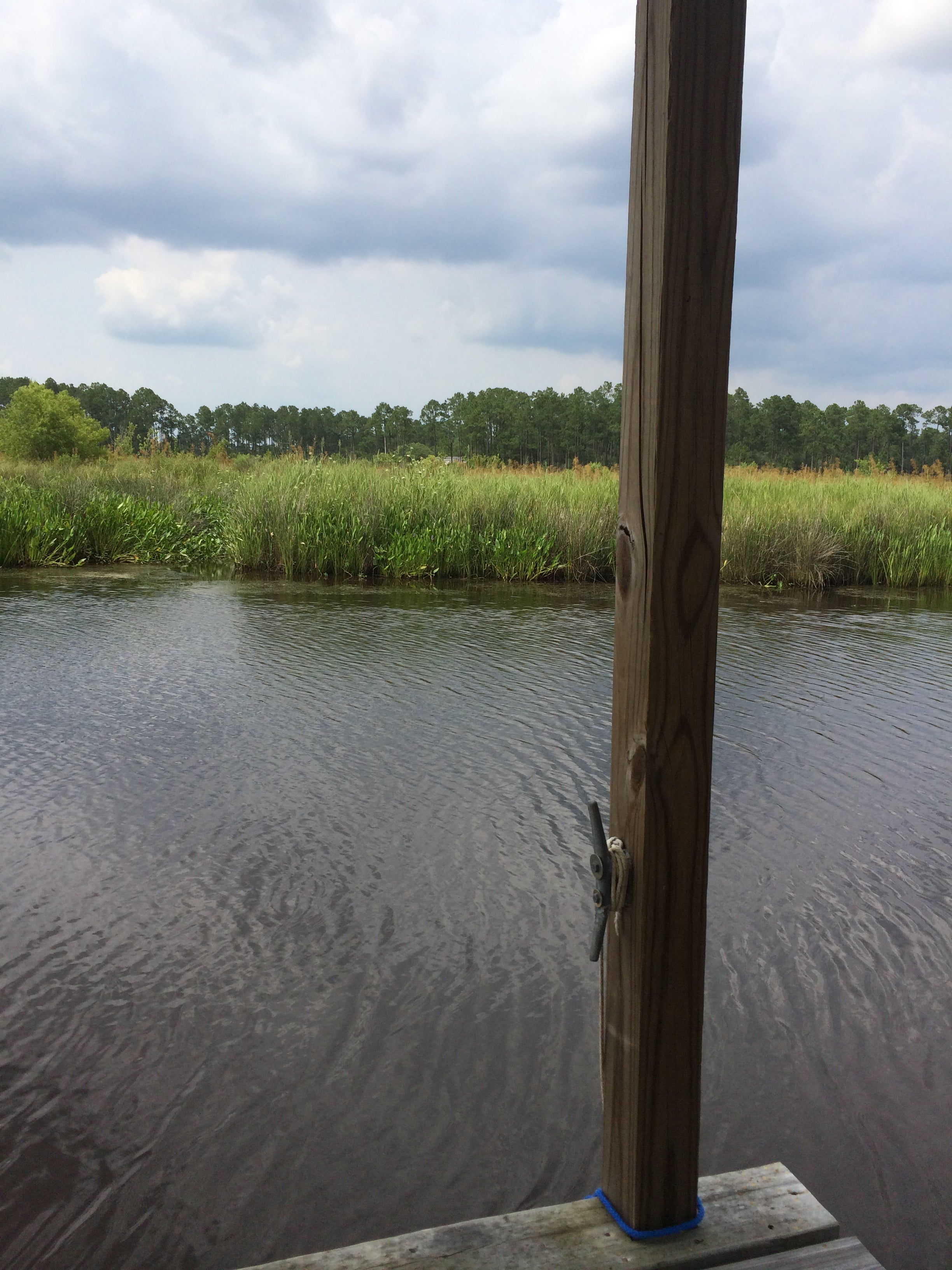 Camper submitted image from White’s Bayou RV Park - 1