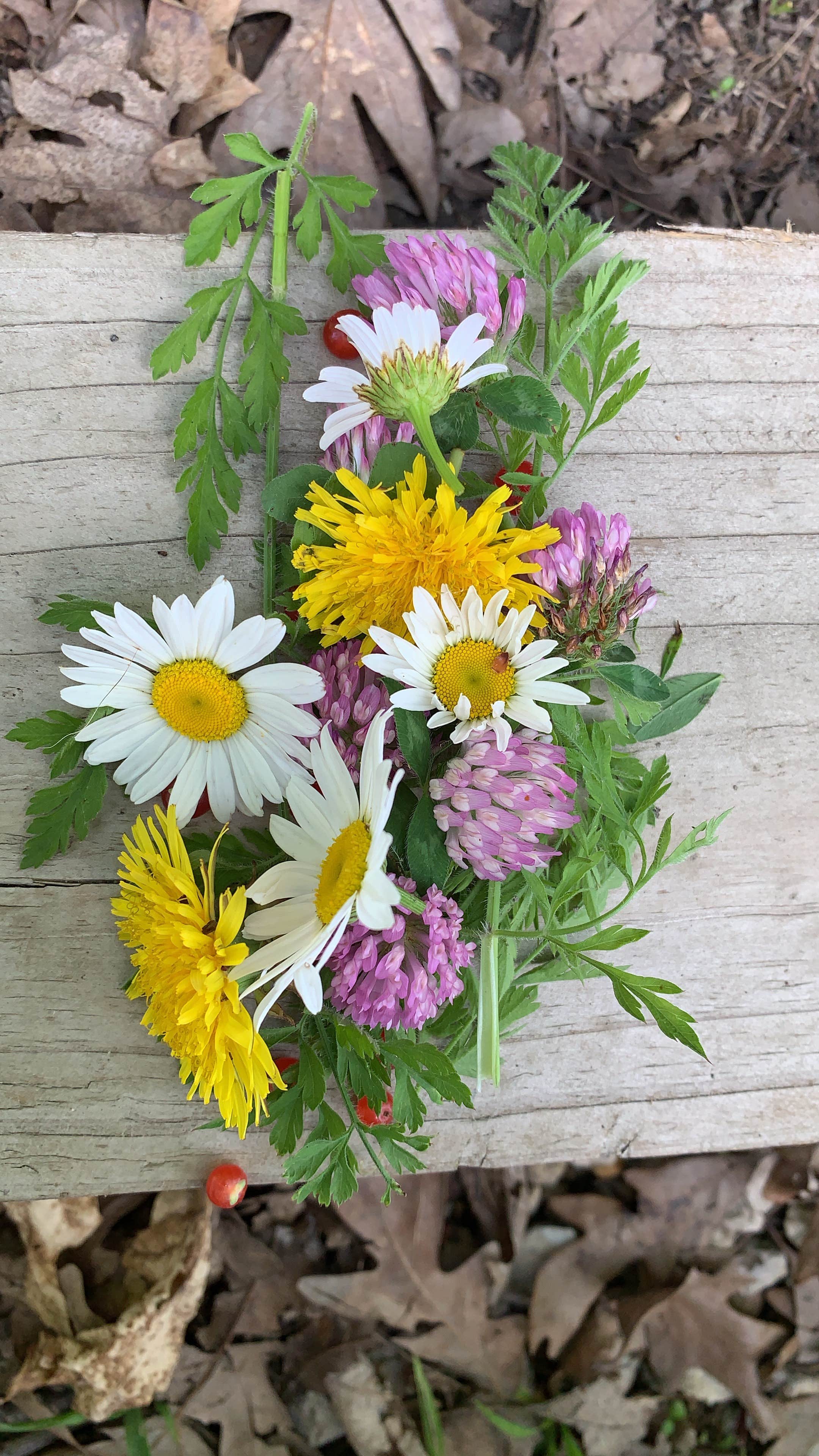 Wildflowers on the grounds